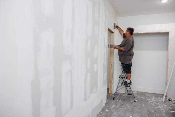 Williamston, NC Mold Removal Company